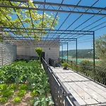 Villa Graco *
